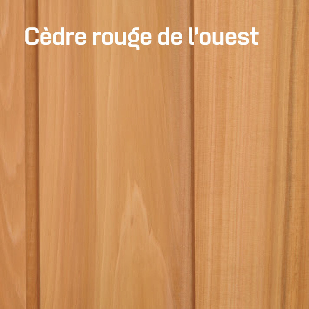 Banc Métis